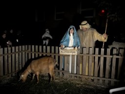 Rozsvícení vánočního stromečku